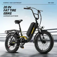 2025 CEAYA 48V15AH 20*3.0 INCH R8SE ELECTRIC BIKE FAT TYRE Removable Battery 7 Speed E-bike Electric City Bike