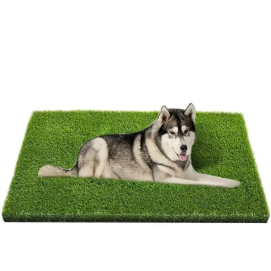 Artificial Grass Pr…