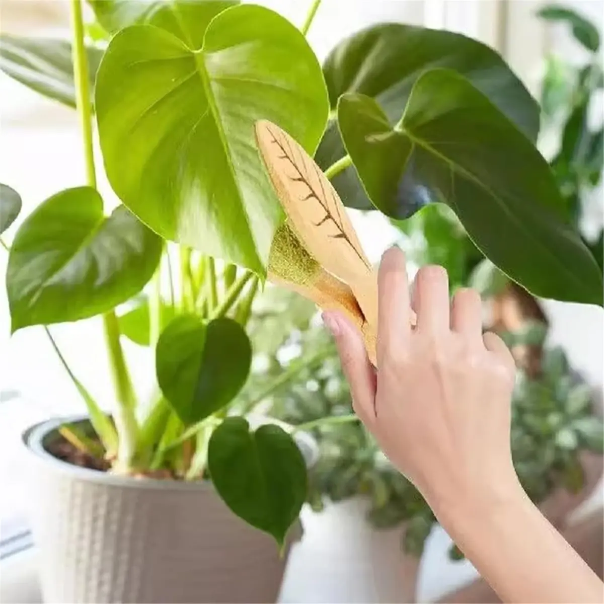 pinca-de-limpeza-de-folhas-e@mb-ra-ace^happya-para-plantas-de-interior-ferramenta-removivel-para-limpeza-de-folhas-de-plantas-com-cabeca-de-pelucia-macia
