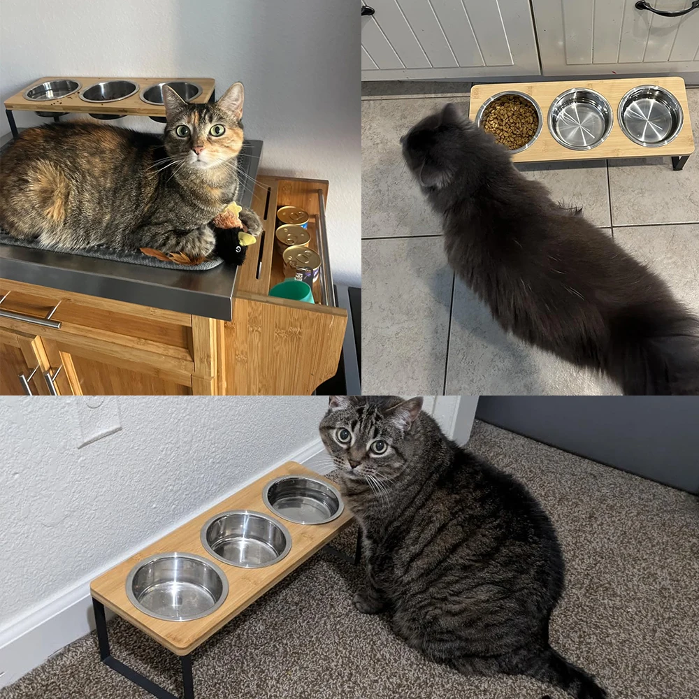 Erhöhte Katzennäpfe mit 3 Edelstahlschalen 15 ° Gekippter, kippsicherer, erhöhter Katzenfutternapf für kleine Katzen, Welpenzubehör – Detail 8