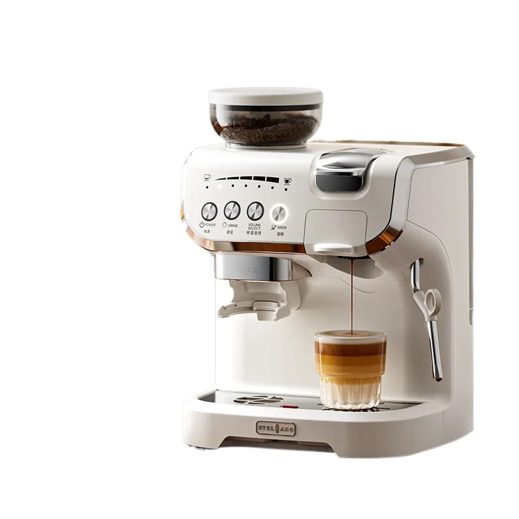 

220 Volts High-end 19 Bar Espresso Coffee Maker Machine for Home Use Potable