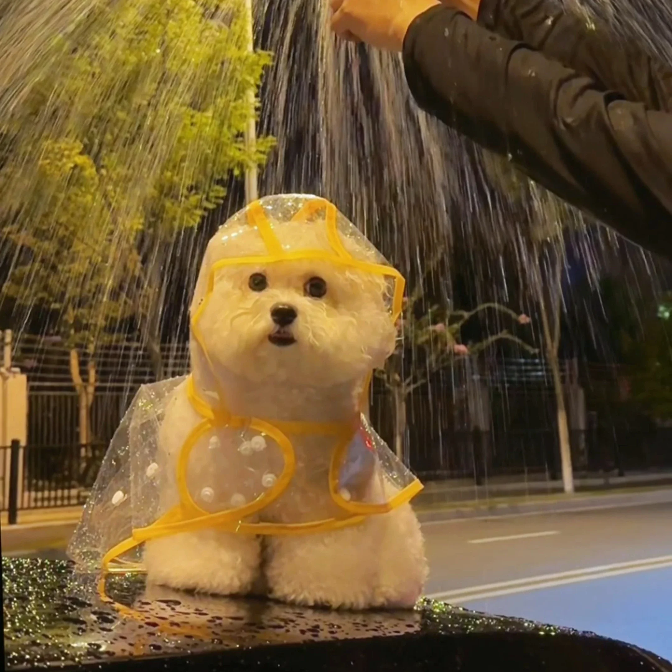 

Dog raincoat transparent poncho hooded cape pet waterproof clothes go out to walk the dog cuter than bear teddy