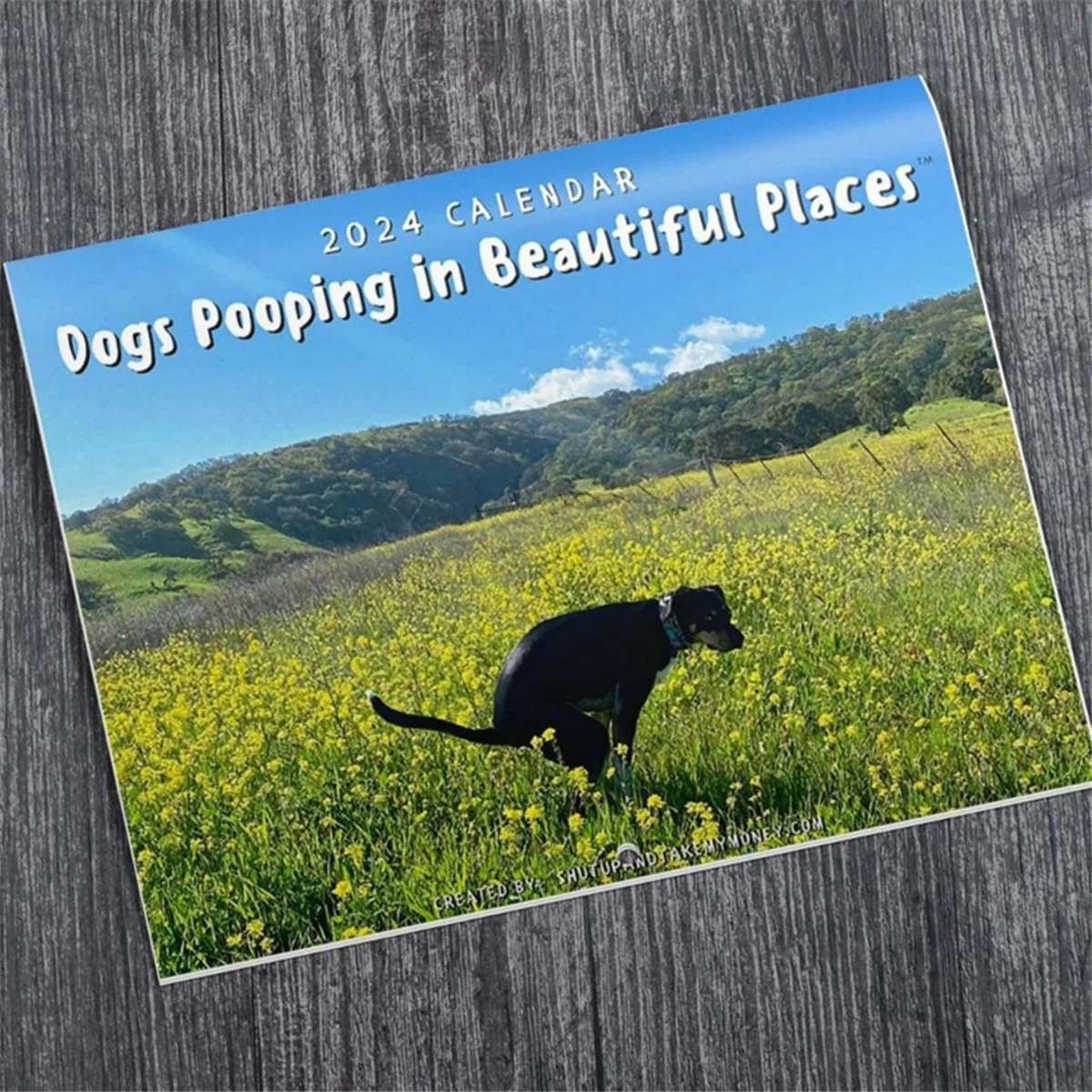 

Dog Pooping in Beautiful Place Calendar 2024, Funny Wall Art Gag Humor Gift Prank Calendar,Gift Calendar for Christmas