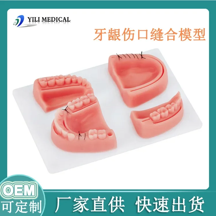 

Силиконовая форма для тренировки наложения швов десны с несколькими ранами, модуль с четырьмя зубцами, модуль обучения оральной хирургии для студентов-медиков B