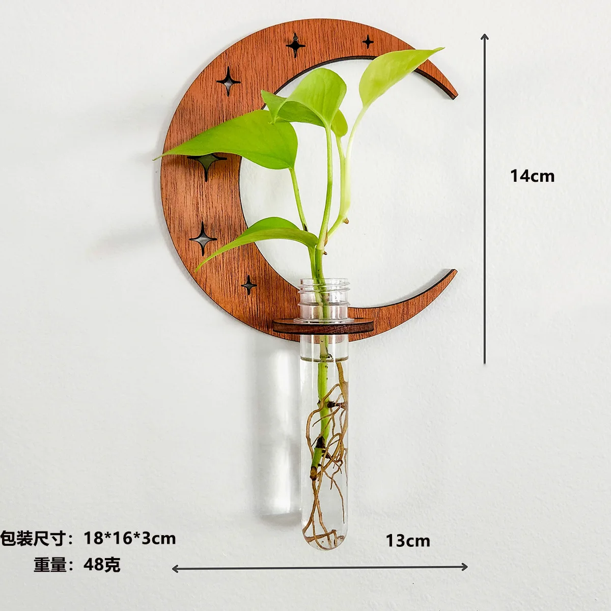 Plant Propagation Station Wall Hanging Wooden Moon Phase Plant Terrarium for Hydroponics Home Office Decor Air Plant Holder Gift