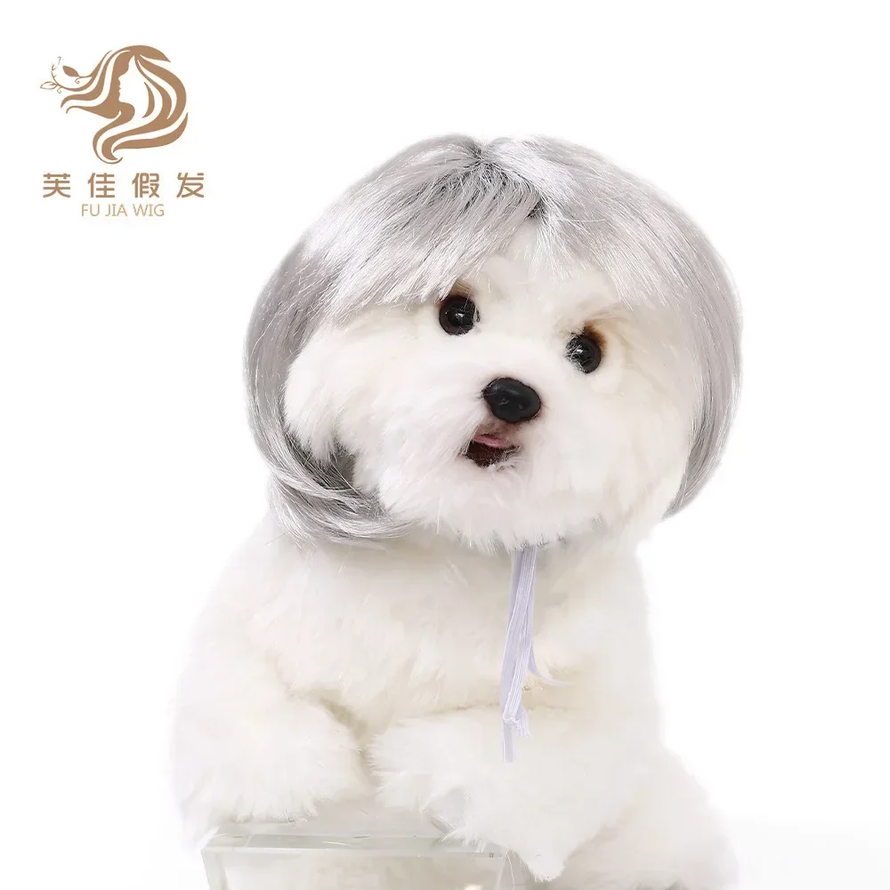 New Pet Wig Cat and Dog Universal Pet Supplies Halloween Accessories Cute Straight Hair Bobo Head