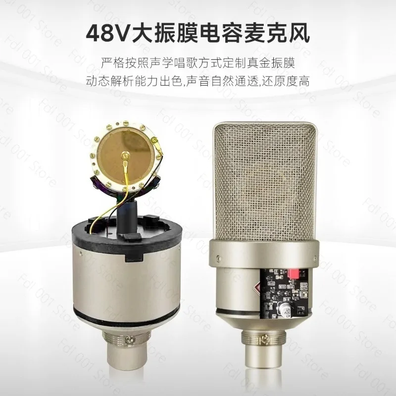 Large Diaphragm Condenser Microphone Professional Studio Recording Mic