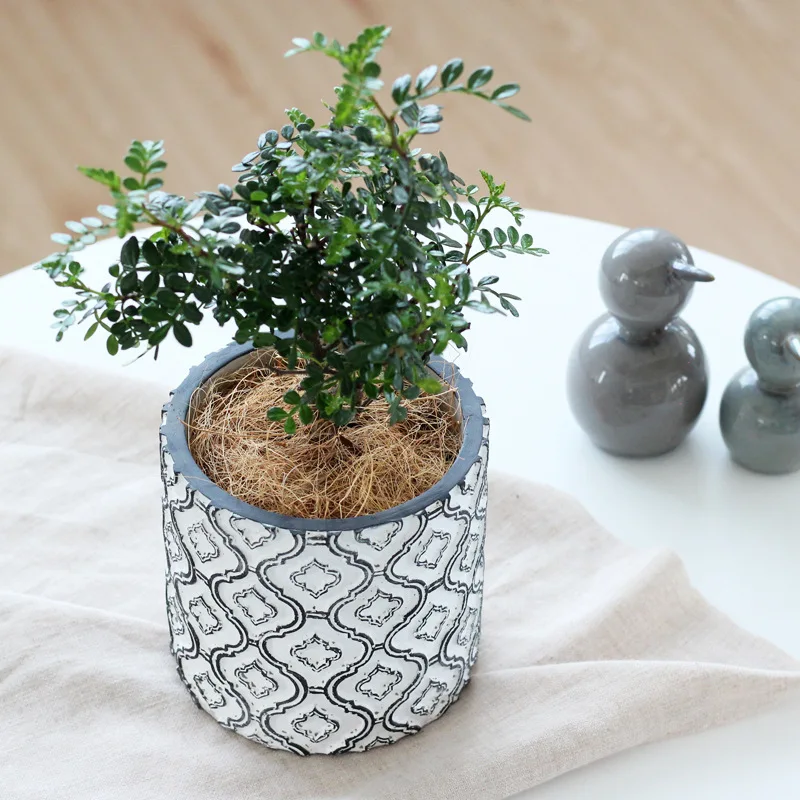 

European Retro Light Luxury Cement Flowerpot Green Plant Potted Plant Exquisite Handmade Pattern Flower Pots Home Decoration