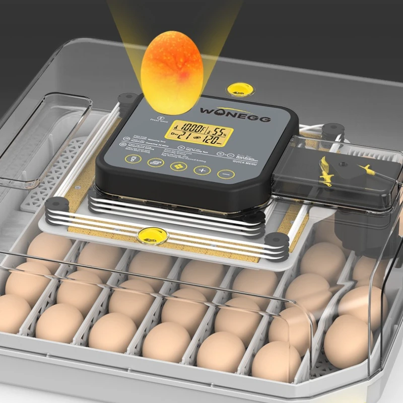 

48pcs Egg Automatic Incubator Digital Poultry Hatching Machine for Home Smart Chicken Egg Incubator Farm Breeding Equipment
