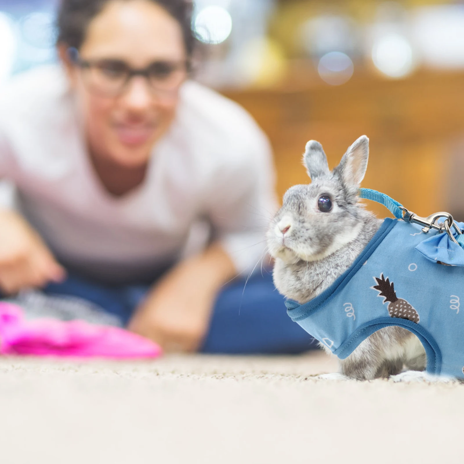 

Rabbit Harness Leash Breathable Comfort Durable Clothes Accessories Pet Rabbit Traction Strap Small Suit