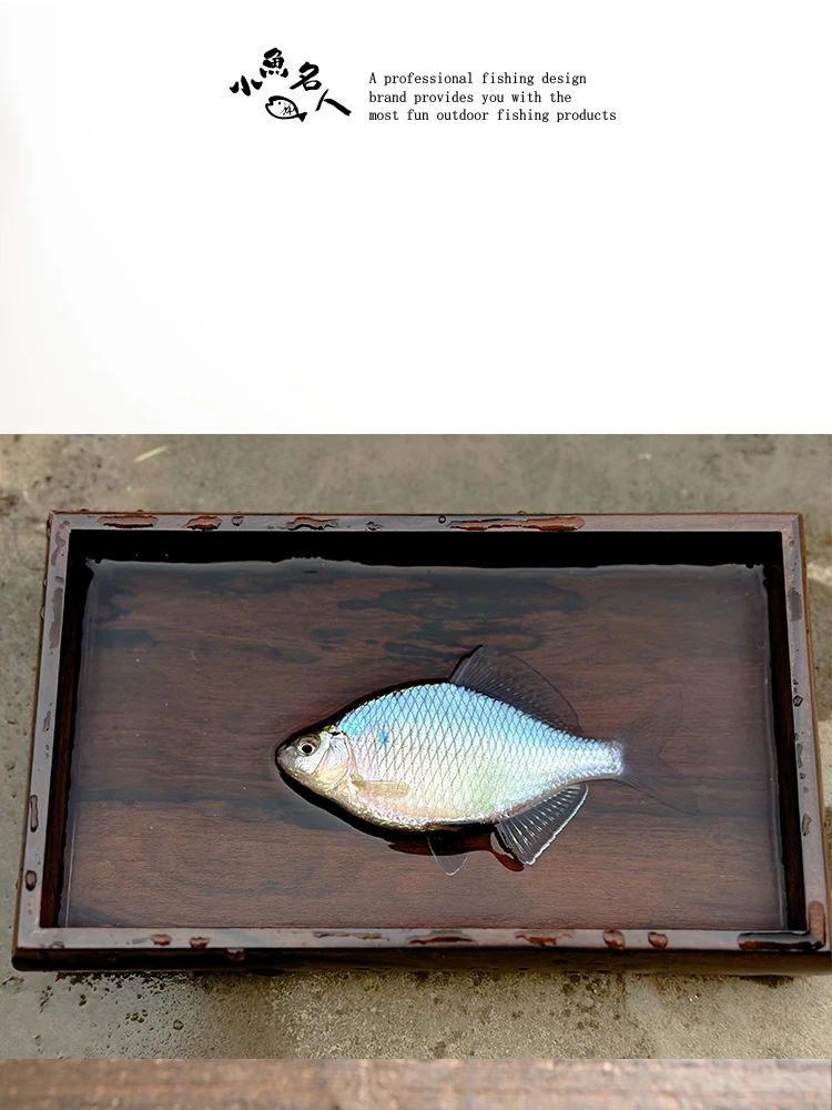 handcrafted-premium-black-dried-fruit-wood-fish-viewing-box-photography-small-object-fishing-lure-box-outdoor-camping-travel