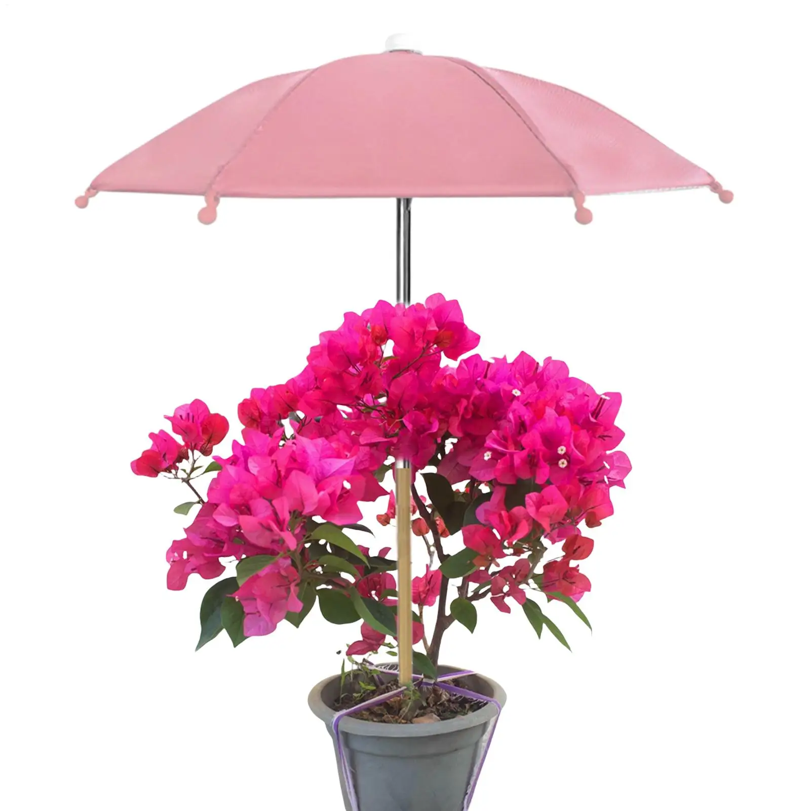 Plant Umbrellas UV Protection Cover Garden Umbrella Shade Plant Sunshade Umbrella For Succulents Bonsai For Plants Potted Plants