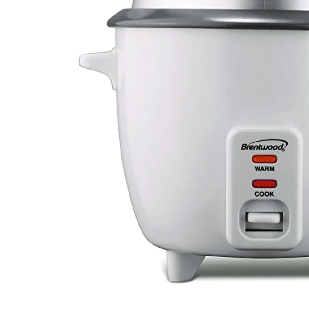 TS-380S 10-Cup Uncooked/20-Cup Cooked Rice Cooker and Food Steamer White