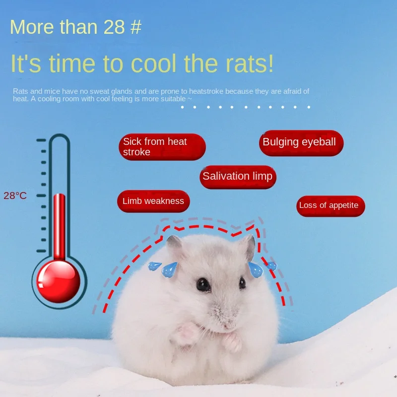 

Hamster Ice House - Summer Cooling Shelter w/Vents for Syrian & Dwarf, Chew-Proof Sleep Den with 12hr Chill Retention (BPA-Free)