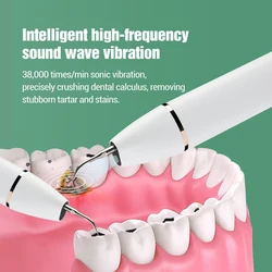Ultrasonic Dental Cleaner Electric Teeth Whitening High Frequency Vibration for Calculus Plaque Stains Removal Tooth Brush