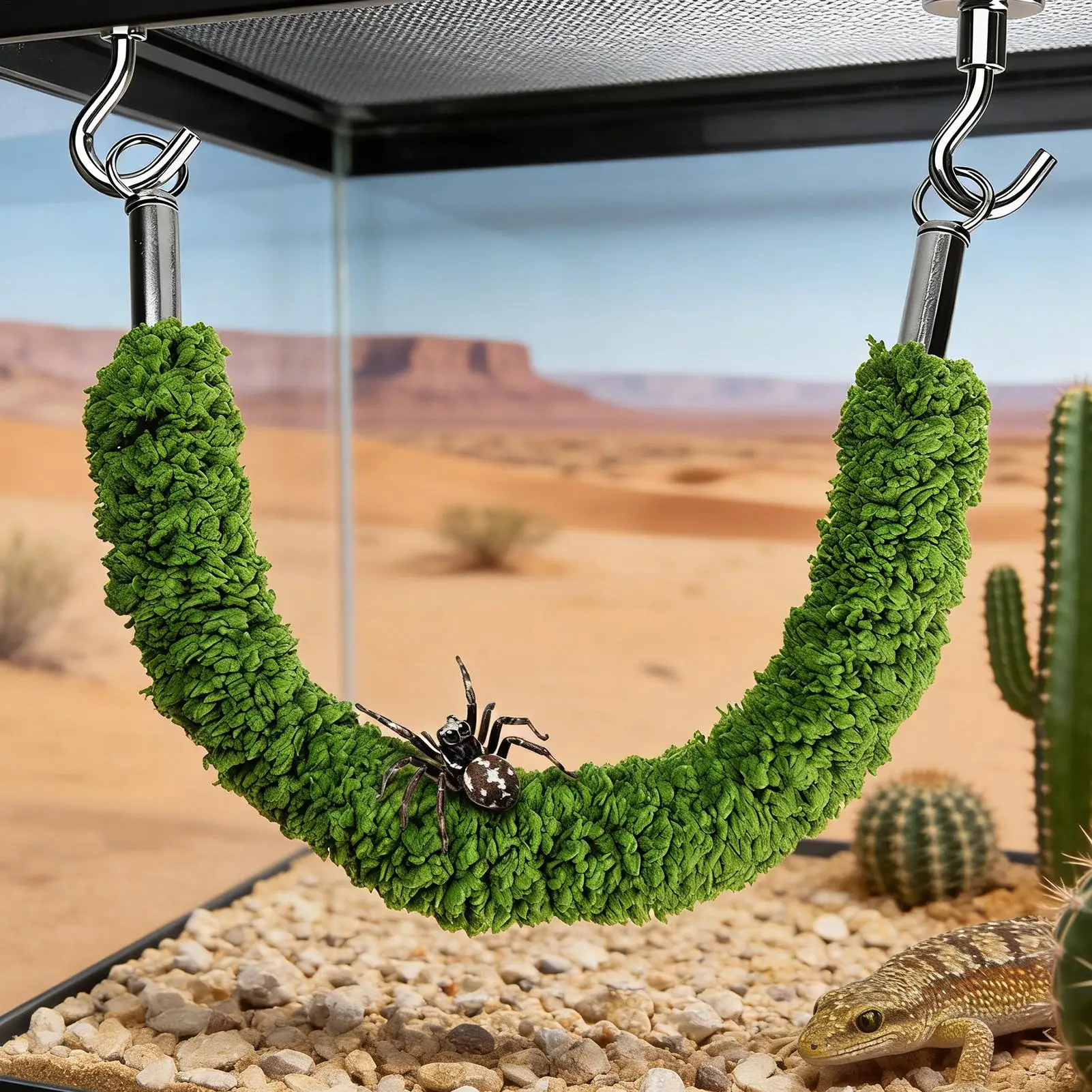Kletterbrücke für Springspinnen und Einsiedlerkrabben, Schaukel für Spinnen/Geckos, Kletterleiter für Terrarium