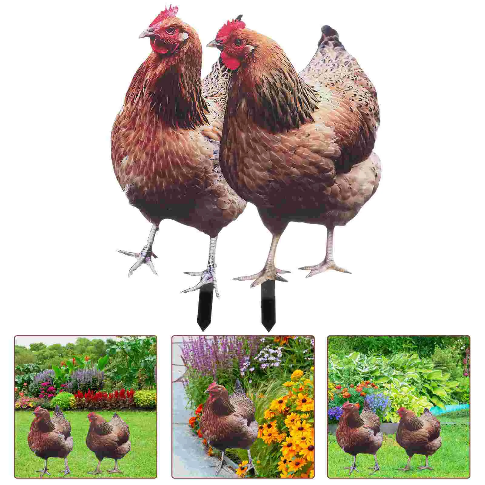 2 Pcs Chicken Garden Decoration Sign Signage Hen Stake Acrylic Yards Decorative