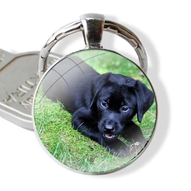 Lab Labrador puppy Dog Glass Metal Pendant Key Chain Classic Men Women Key Ring Accessories Jewelry Gifts