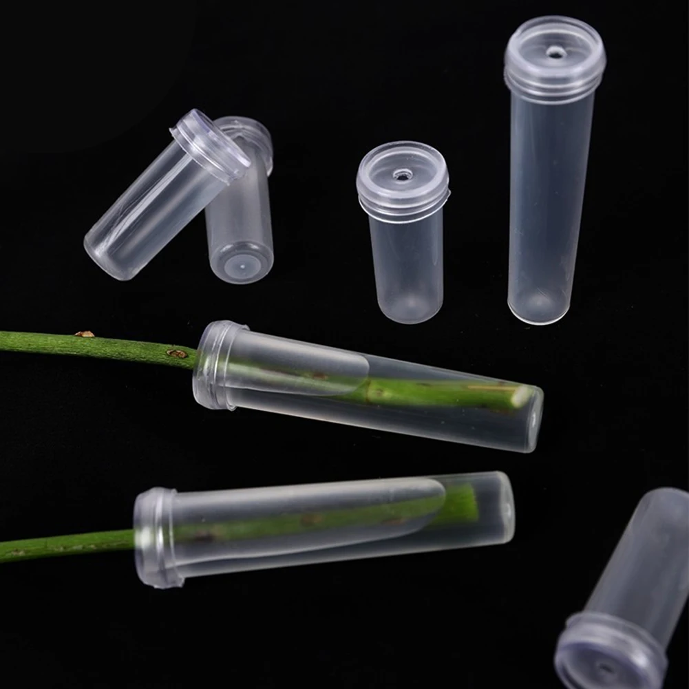 For Floral Water Tubes 100pcs 200pcs Plastic for Fresh Cut Flowers with Tight Seal Cap for Event Bouquets and Centerpieces