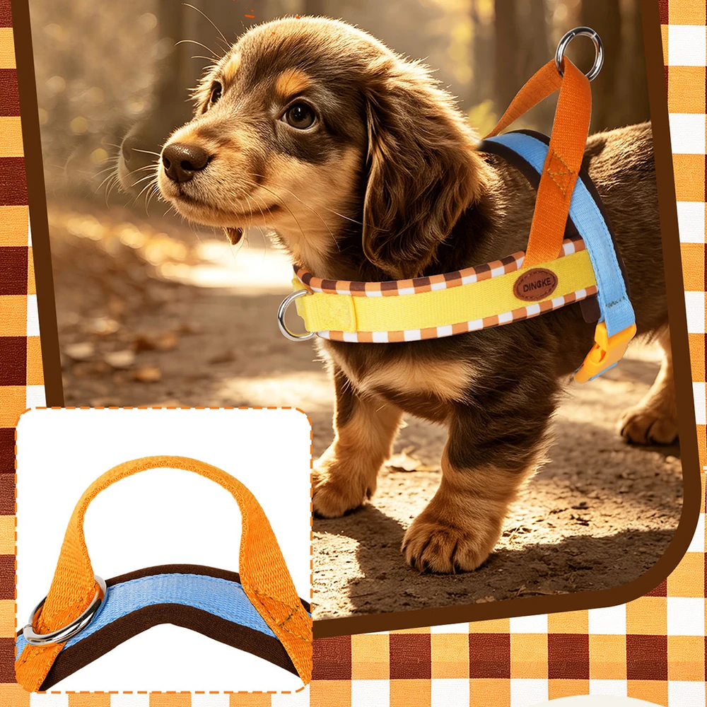 ชุดสายจูงและปลอกคอสุนัขสีแฟชั่ - No Pull Dog Harness บทวิจารณ์และราคา