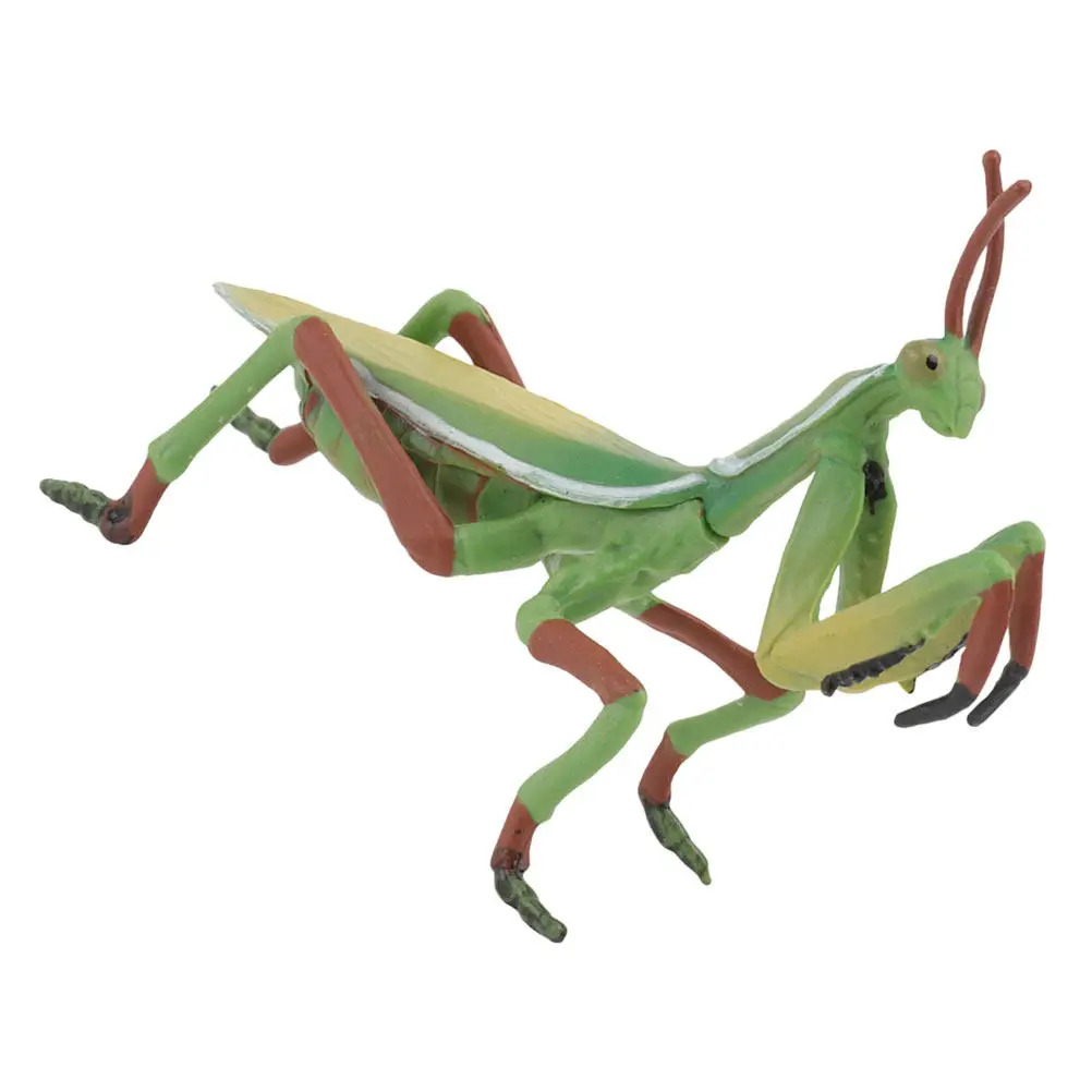 

1Pcs High Quality Plastic Mantis Statue Vivid Lifelike Insect Ornament Desktop Decor Early Learning Tool Safe Sturdy Home Accent