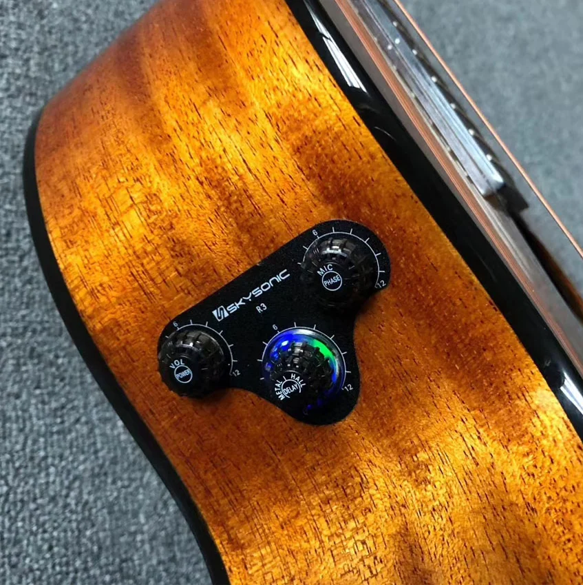 Acoustic Guitar Plus Vibration Pickup with Delay Reverberation Chorus Stringed Instrument Spare Parts Amplifier