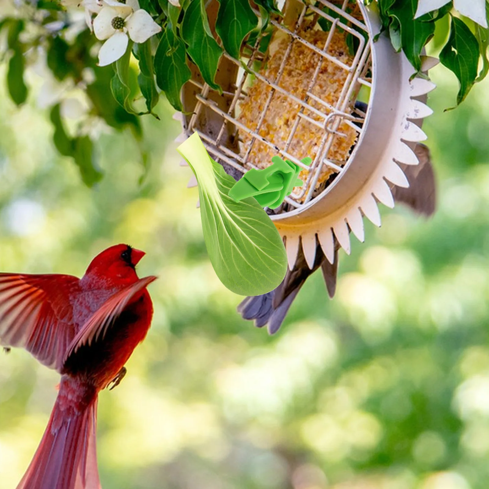 

20Pcs Bird Vegetable Clips Parrot Cage Food Holder Durable PP Fruit Feeder Clip Budgie Parakeet Macaw Cockatiel Conure Feeding