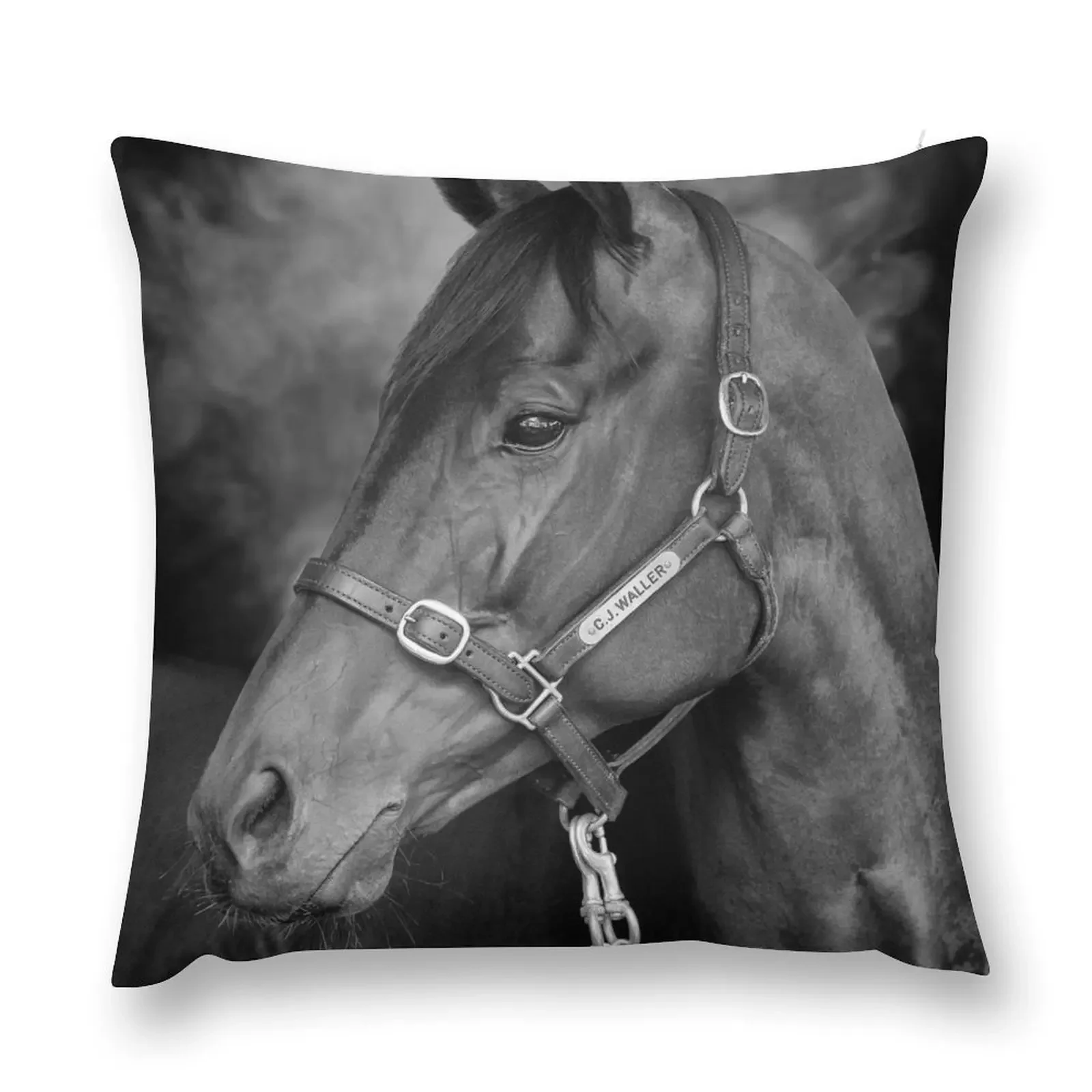 Winx - Farewell to A Champion Throw Pillow christmas ornaments 2025 Bed pillowcases sleeping pillows pillow