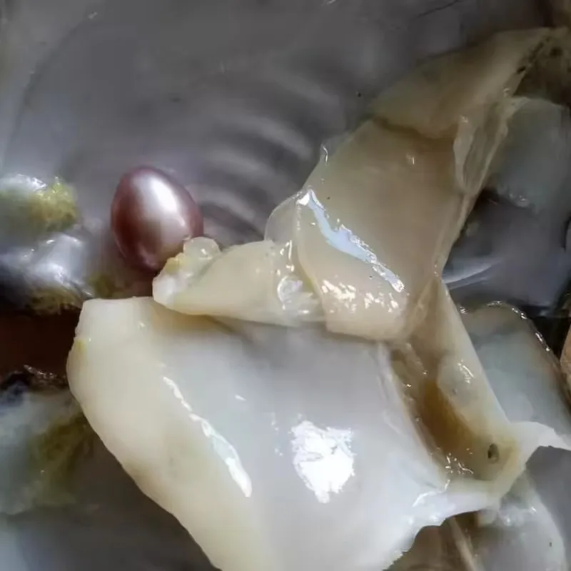 Diversão jóias com pingente de biquíni gaiola, desejo Pearl Oyster Medalhão, Natural pérola mexilhão, branco rosa roxo