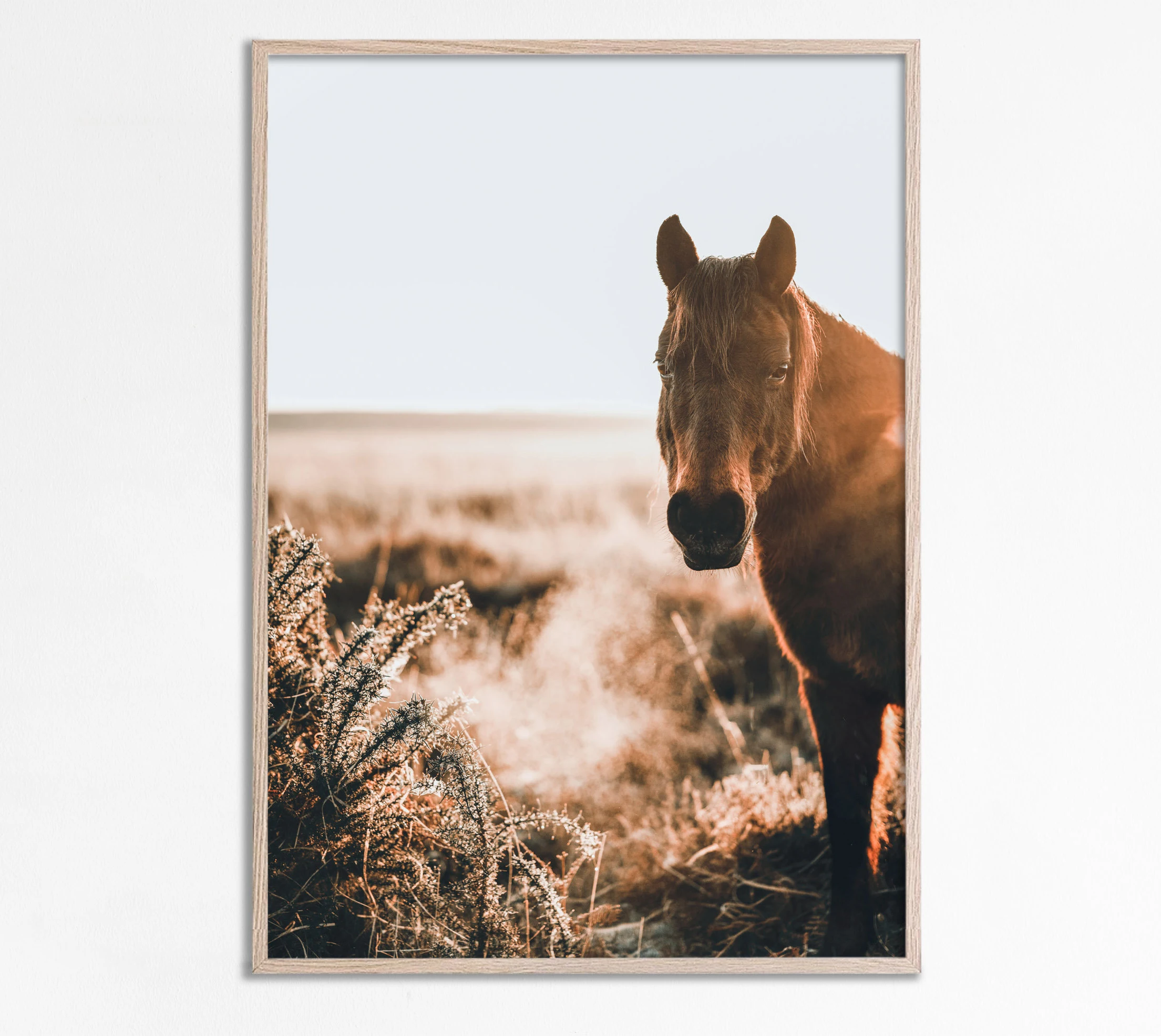 Modern Art Animal Prairie Horse Black and White Picture Home Room Decoration Canvas Painting Cuadros