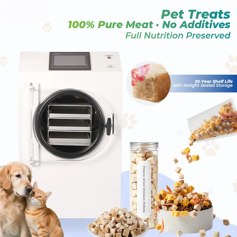 Home Dryer Mini Freeze Drying Equipment Pump For Food Processing Automatic High Efficiency SUS304 Material 4-6Kg Capacity