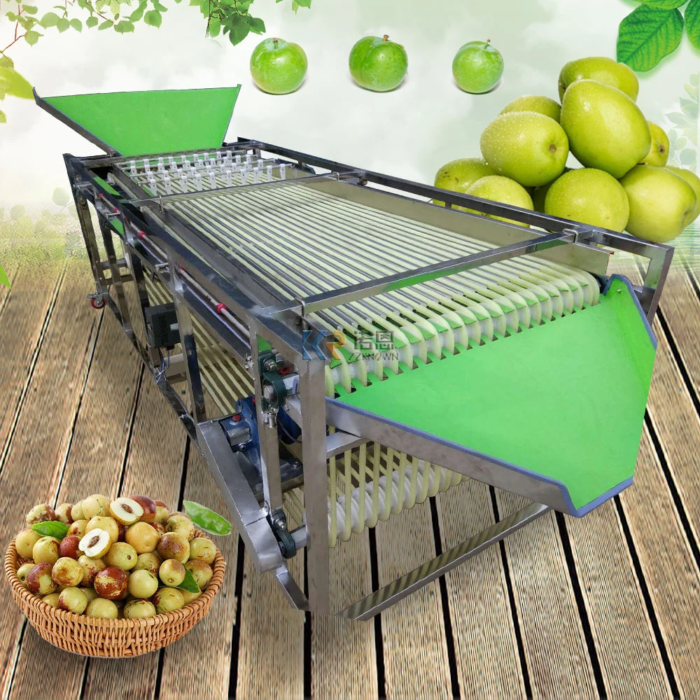 15 Channels Dates Sorting Machine Cherry Tomatoes Hawthorn Green Plum Bayberry Apricot Sorter Sorting Conveyor Grading Machine