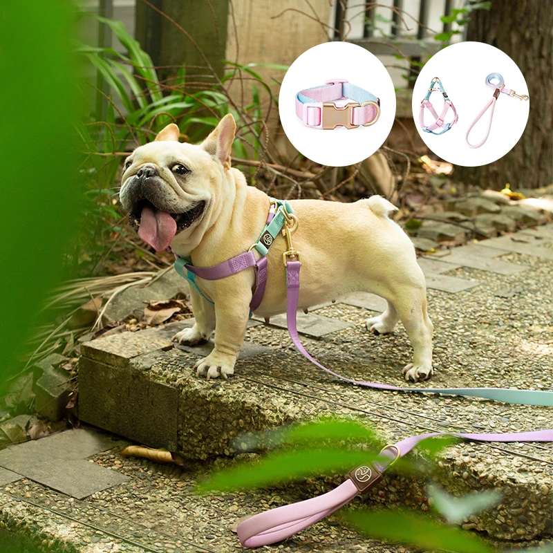 Pet Shop All Bulldog Frances Puppy Choker Collar Dog Leash Breastplates Lead Set Harness No Pull Pets Accessories for Small Dogs