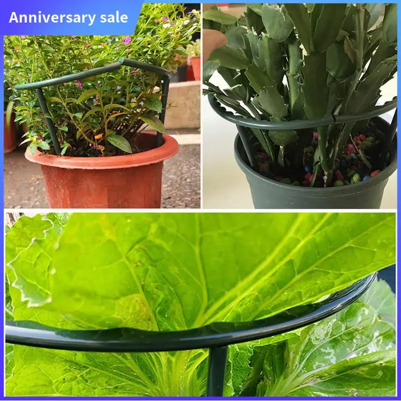 10 Pack Plant Support Plant Stakes Indoor Leafy Plants Plastic Plant Cage Holder Flower Pot Climbing