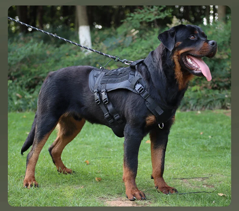 New Multi-functional Tactical Chest and Back Harness for Pets, Dog Chest and Back Strap, Large Dog Leash, Outdoor Walking Harnes