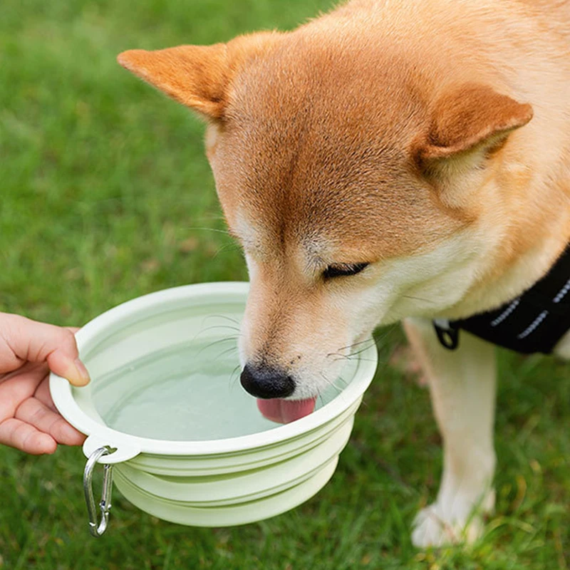 350/650/1000ml Collapsible Dog Bowl Pet Folding Silicone Bowl Outdoor Travel Portable Puppy Food Container Feeder Dish Bowl