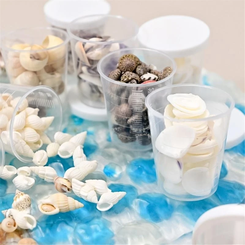 Seashells Craft Set Shell Craft Materials Suitable for Jewelry Making Accessories and Artistic Home Decors Designs