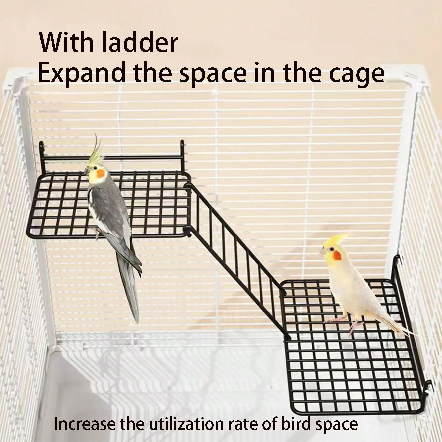 #32 Bird Ladders & Perches Comparison Guide
