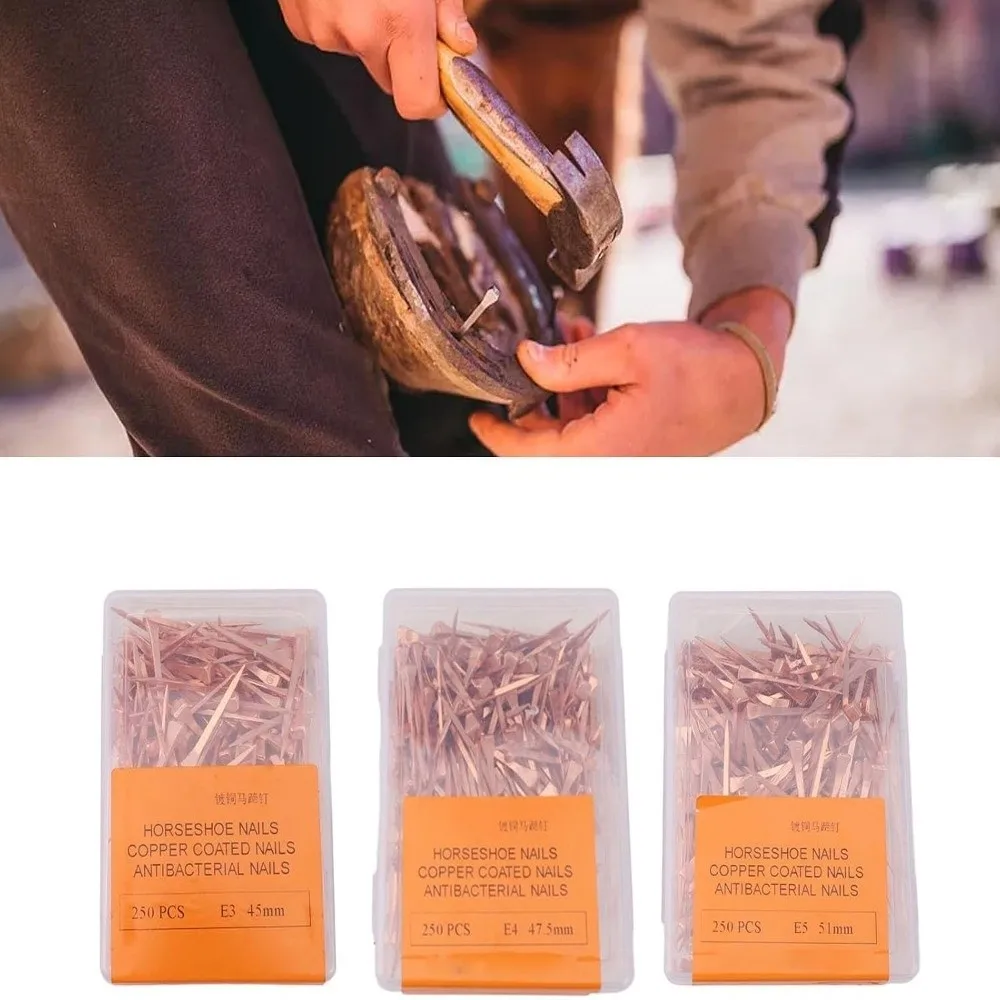 250pcs-51mm-length-horseshoe-nails-rustproof-wear-resistant-equestrian-riding-equipment-copper-plated-plastic-storage-box