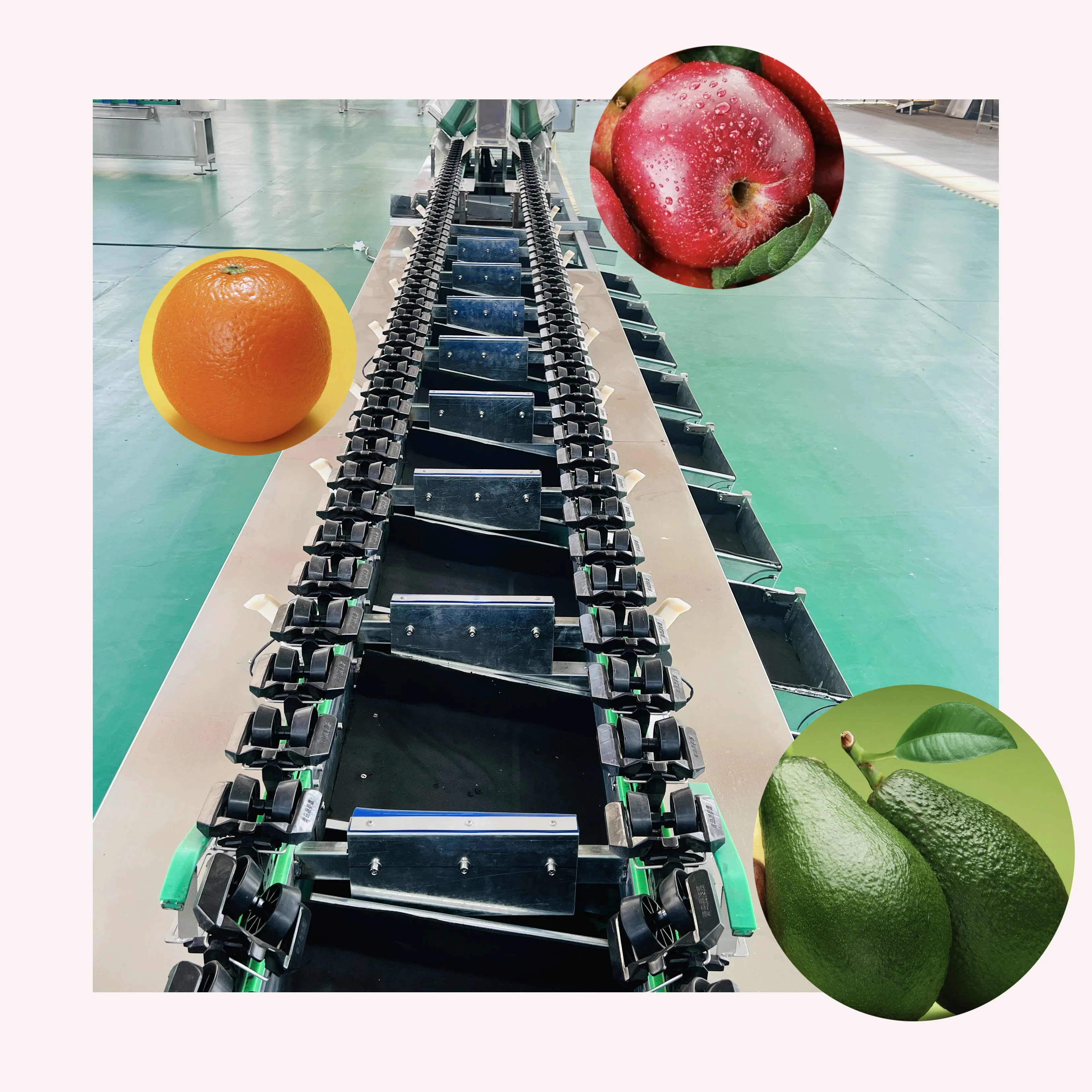 High-efficiency industrial automatic classifier fruit sorter