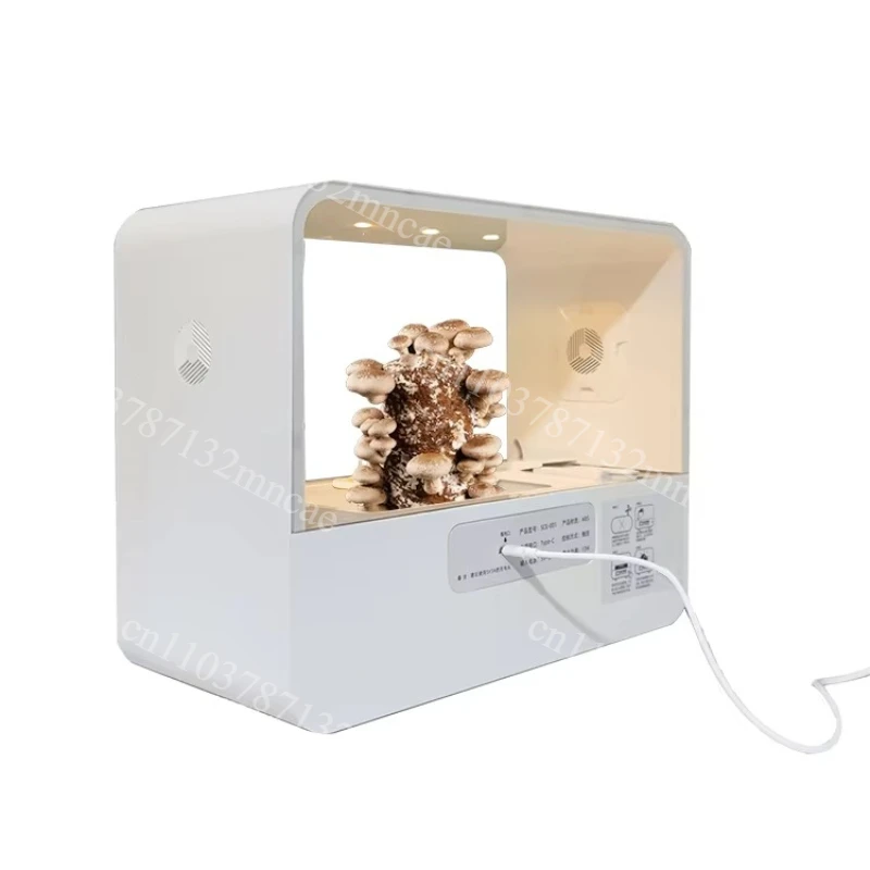 New Design Mini Mushrooms Planter Garden Indoor Growing System Circulating Smart Home Greenhouse Mushroom Eco Box