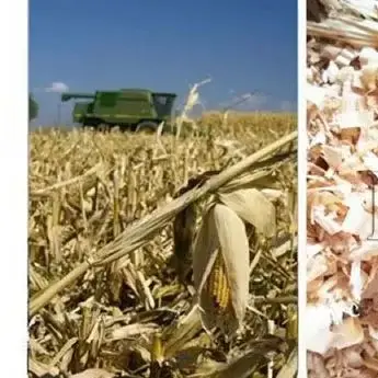 Biomass Particles Diesel Driven Wood Pellet Machine 60-80Kg/H Flat-Die Wood Pellet Mill Sawdust Pressing Machine