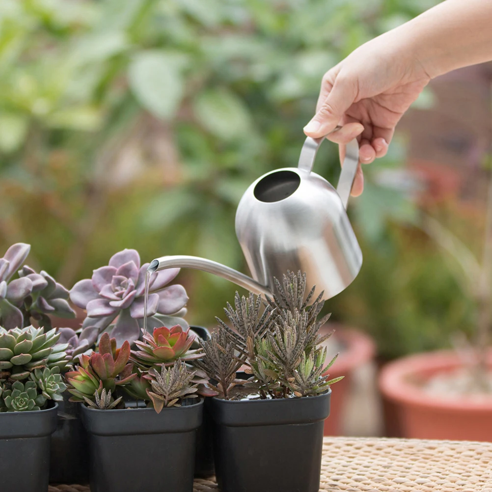 

1000 ML Can Stainless Polished Anti Corrosion Gardening Tool for Watering Kettle Plants Flowers Sprayer
