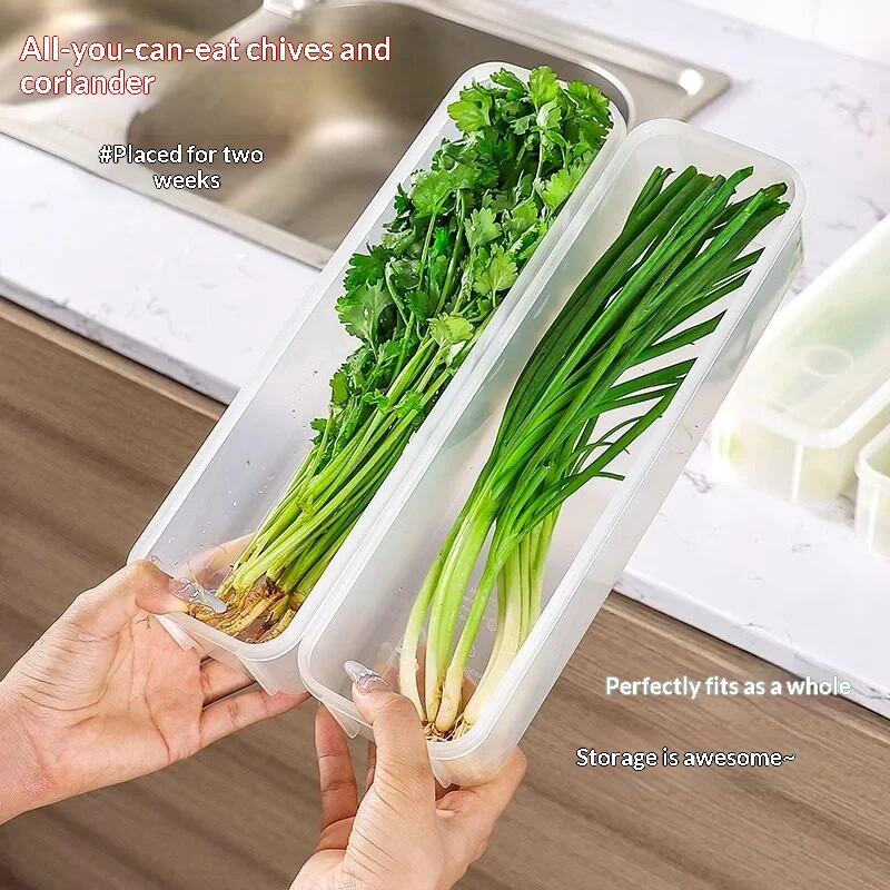 Long PP Refrigerator Storage Box With Lid Sealed Fresh Keeper Kitchen Organizer for Scallion Cilantro Egg Noodle Storage