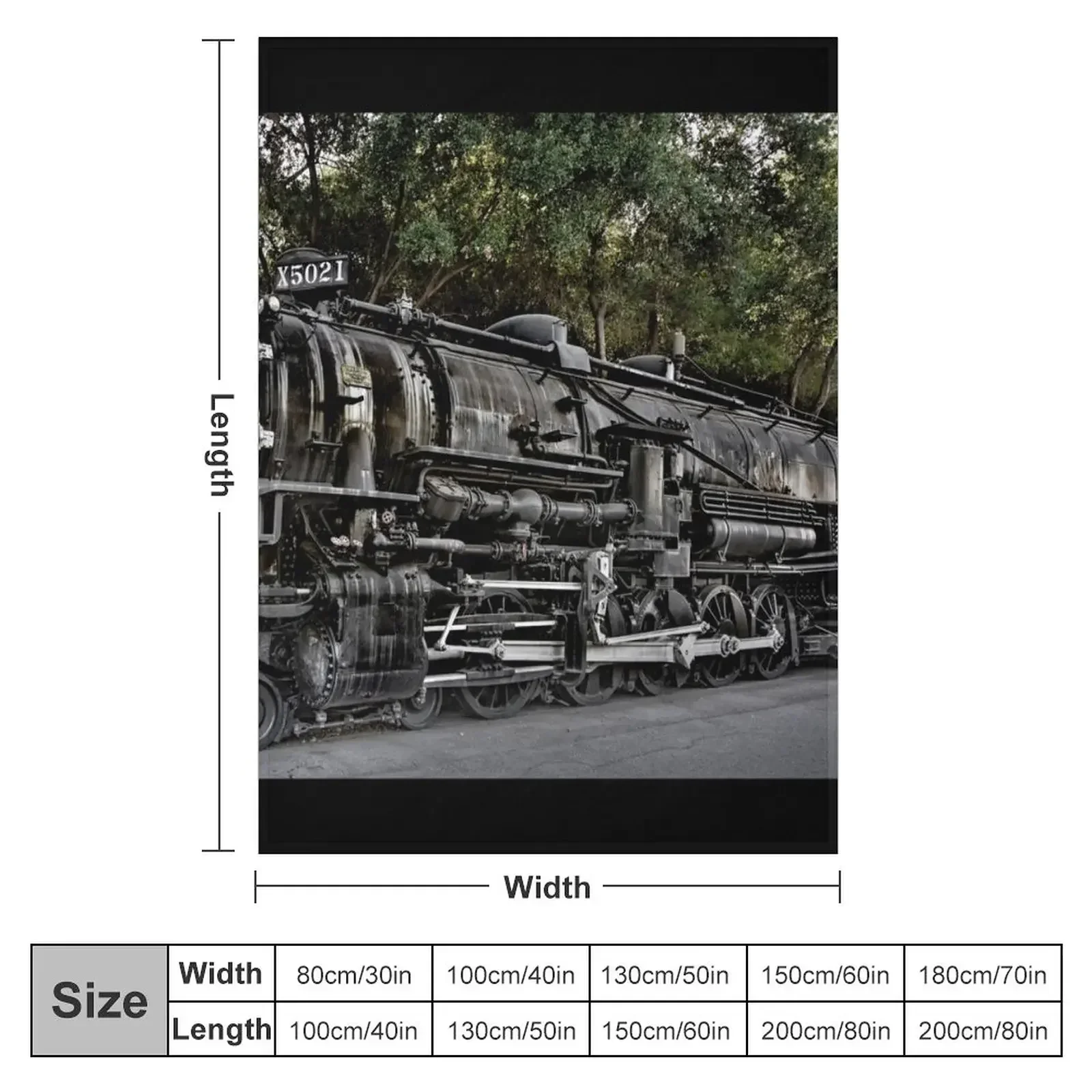 Southern Pacific Steam Locomotive No. 5021 - Rail Giants Train Museum, Pomona, CA, USA Throw Blanket Luxury Brand Cute Blankets