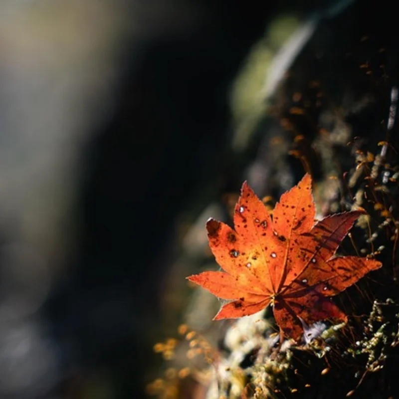 

Модель MN 1:12 D90 D91 Запасные части для радиоуправляемого автомобиля Металлическая педаль 95