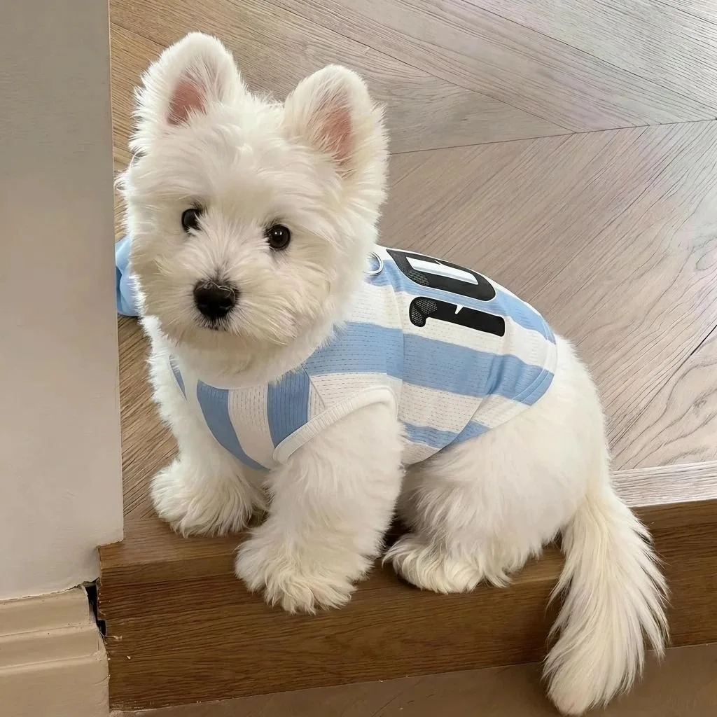 Thin Puppy Clothes Summer Striped Teddy Vest Small and medium-sized Dog Mesh Vests Breathable Cat T-shirt