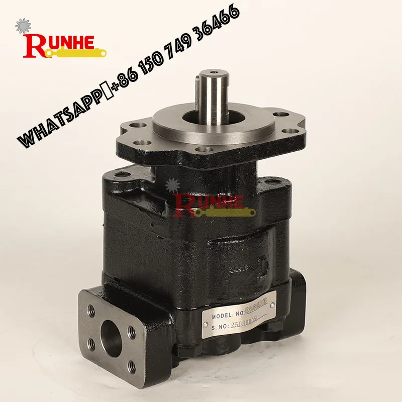 

Iron Material Hydraulic Pump Customized Hydraulic Oil Pump for Truck Gear Hydraulic Pump