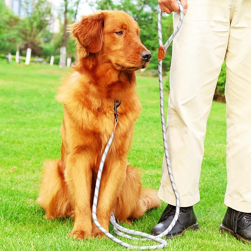 Dog Leash Hands Free Leashes for Dog Walking Adjustable Dogs Leash Reflective Dogs Chain Multi-functional Traction Rope 230cm