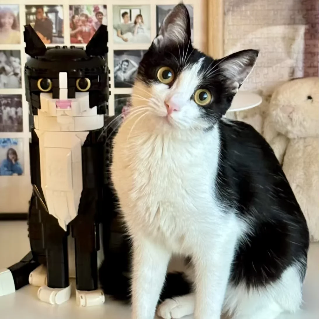 

Cat Building Blocks Cartoon Animal Assembly Toy Diy Educational Puzzle Toys Children's Gifts For Friend ﻿decoration